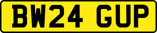 BW24GUP