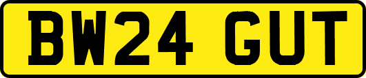 BW24GUT