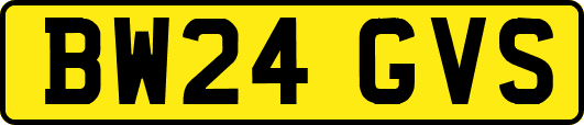 BW24GVS