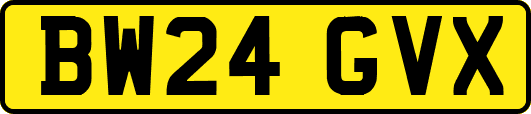 BW24GVX