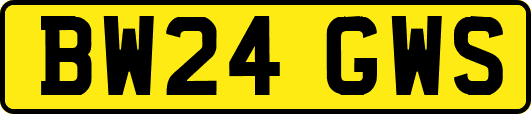 BW24GWS