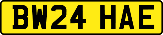 BW24HAE