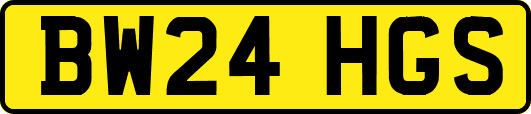 BW24HGS