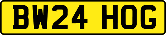 BW24HOG