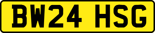 BW24HSG