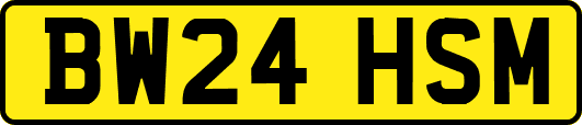 BW24HSM