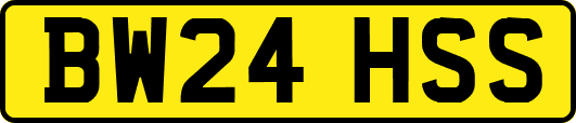 BW24HSS