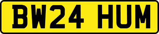BW24HUM
