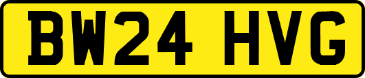 BW24HVG