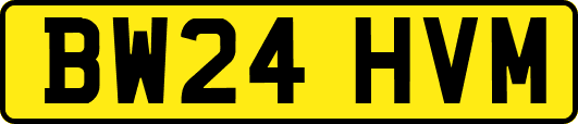 BW24HVM
