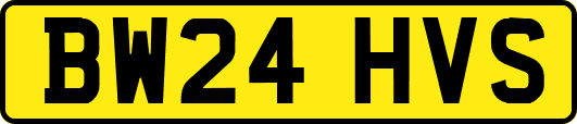 BW24HVS