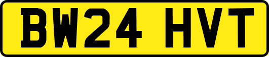 BW24HVT