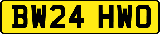 BW24HWO