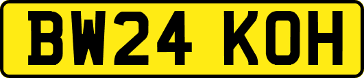 BW24KOH