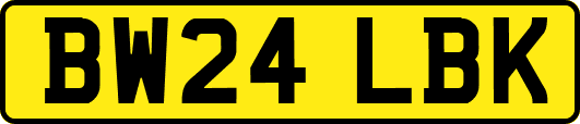 BW24LBK