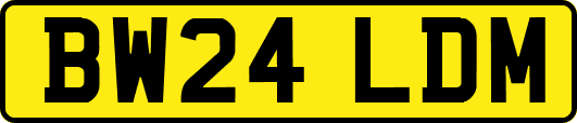 BW24LDM