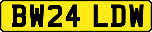 BW24LDW