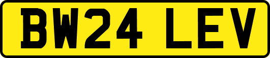 BW24LEV