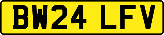 BW24LFV