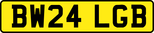 BW24LGB