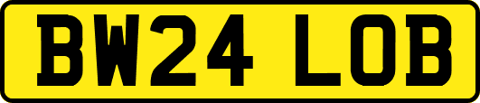 BW24LOB