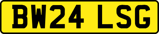 BW24LSG