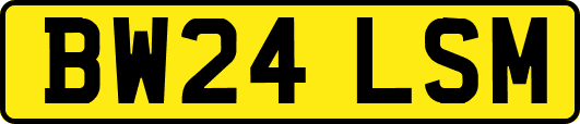 BW24LSM