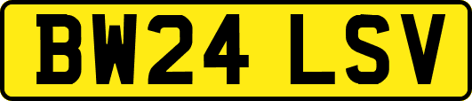 BW24LSV