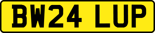 BW24LUP