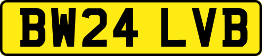 BW24LVB