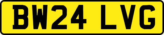 BW24LVG