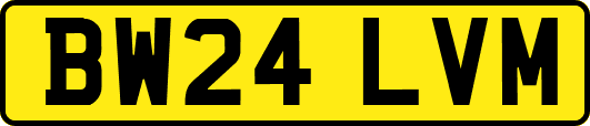 BW24LVM