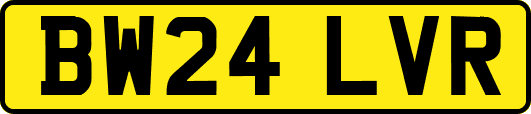 BW24LVR