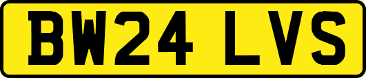 BW24LVS