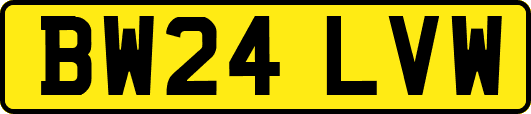 BW24LVW