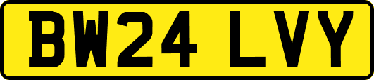 BW24LVY