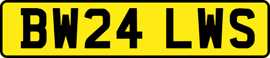 BW24LWS
