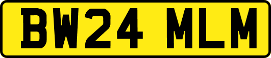 BW24MLM