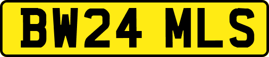 BW24MLS