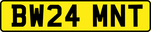 BW24MNT