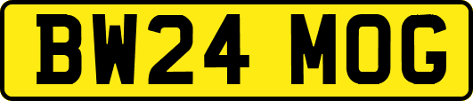 BW24MOG
