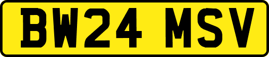 BW24MSV