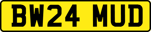 BW24MUD