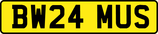 BW24MUS