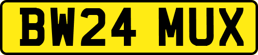 BW24MUX