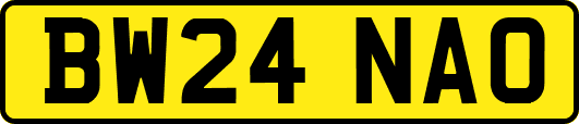 BW24NAO