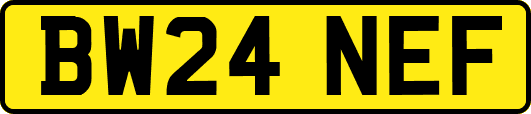 BW24NEF