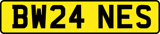 BW24NES