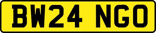 BW24NGO