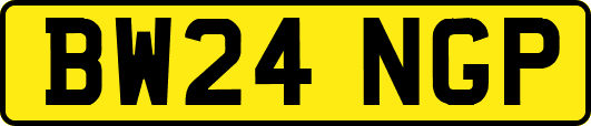 BW24NGP